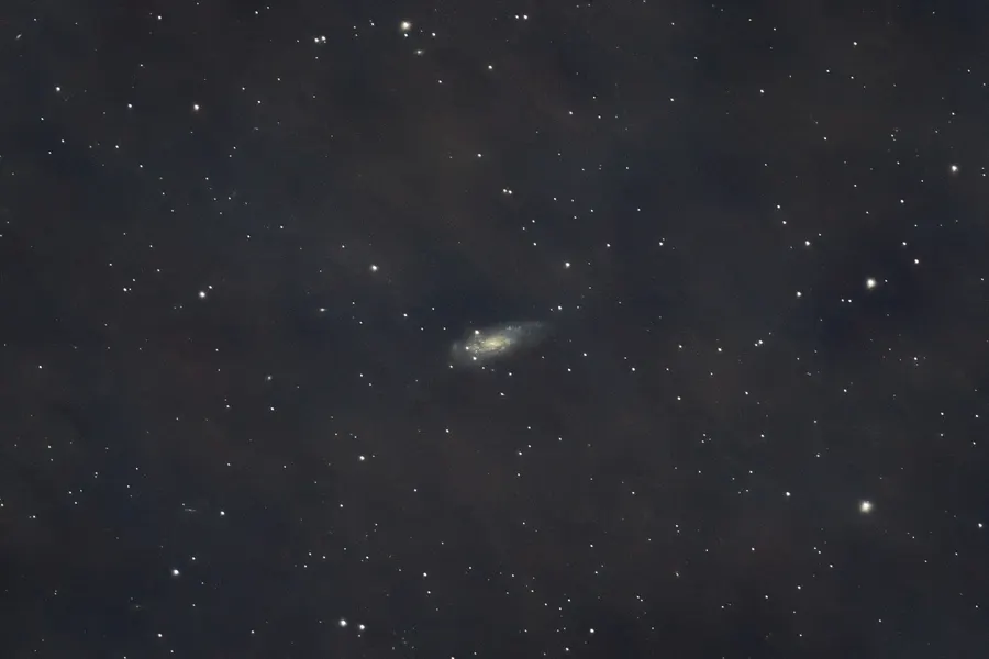 C36 galaxy | 152 min total time (130 sec subs) | dark+flats calibration | 800mm | F/9 | 800 ISO | Canon EOS R + 200-800mm RF lens