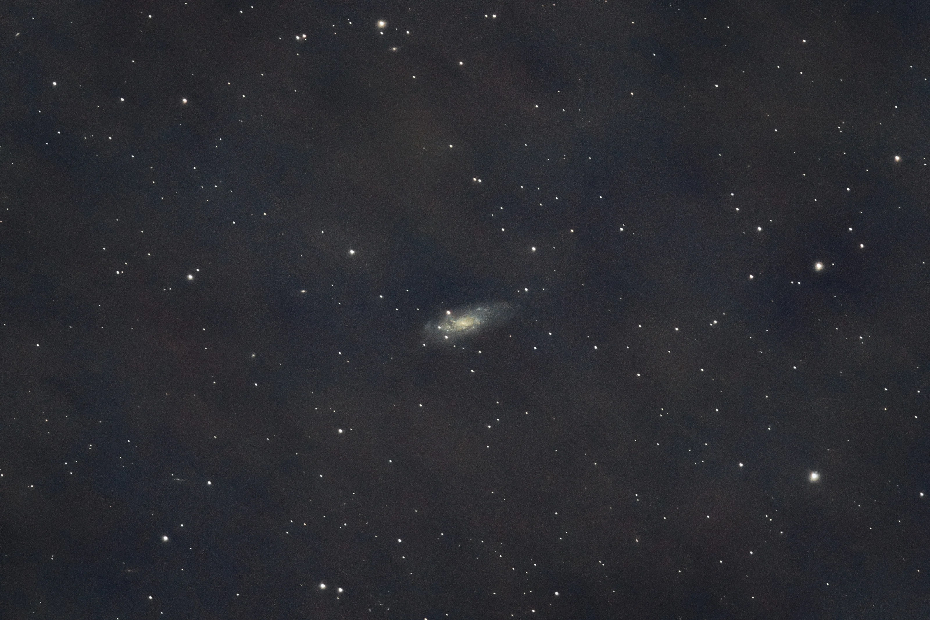 C36 galaxy | 152 min total time (130 sec subs) | dark+flats calibration | 800mm | F/9 | 800 ISO | Canon EOS R + 200-800mm RF lens